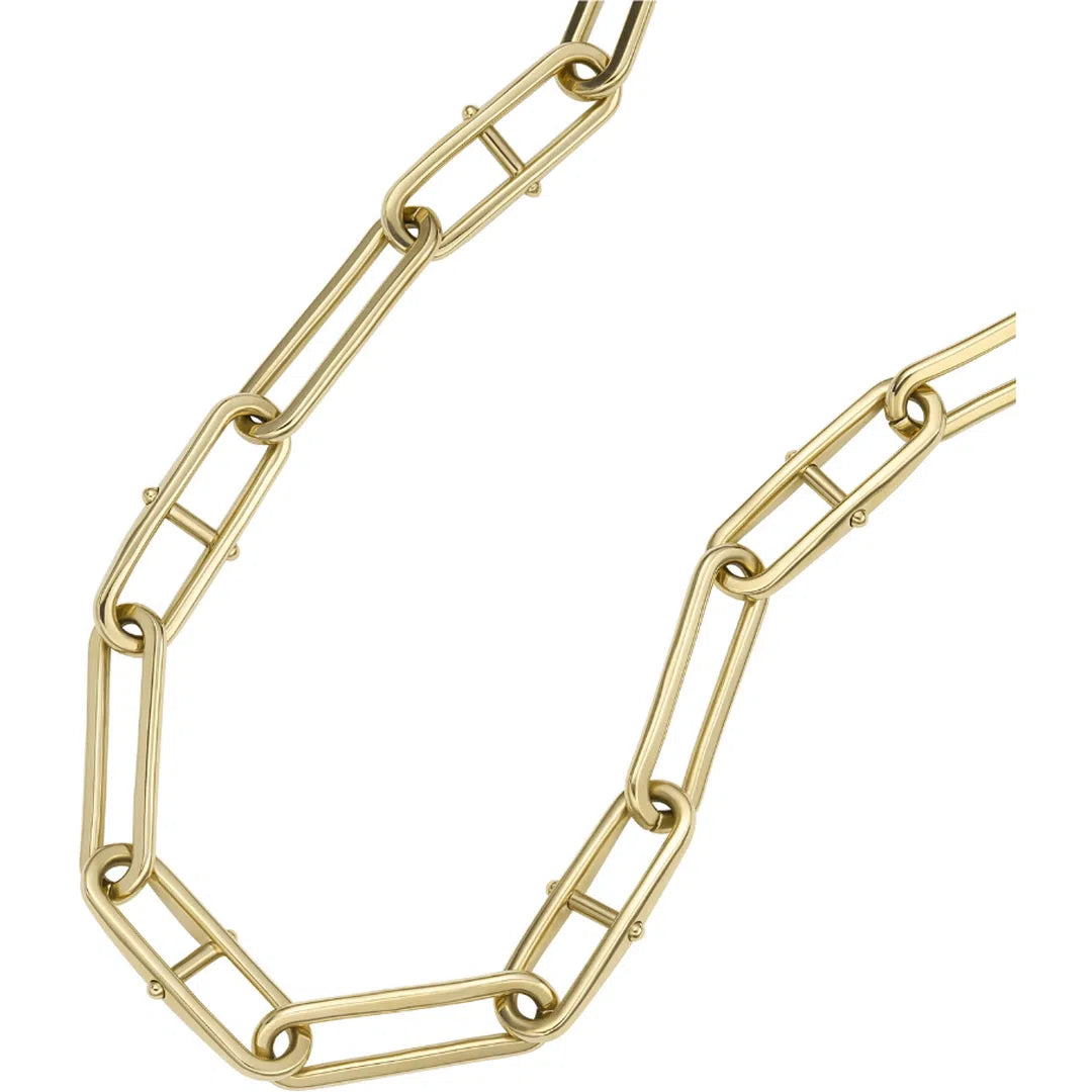 Fossil Heritage - JF04102710-chronolounge